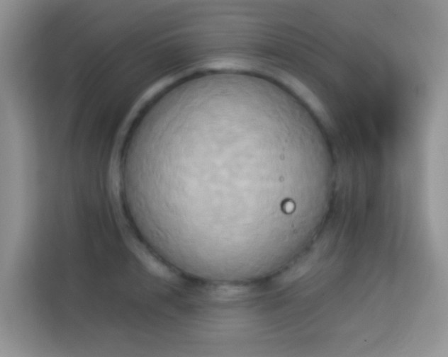 X0000114100848200910051443