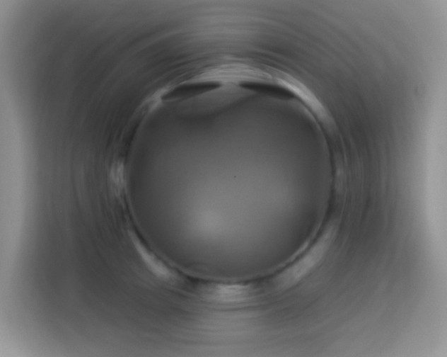 X0000114100849200910051443