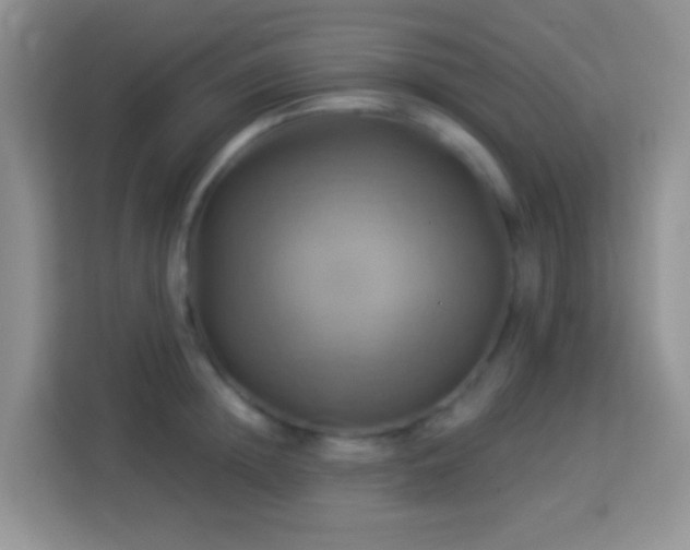 X0000114100852200910051443