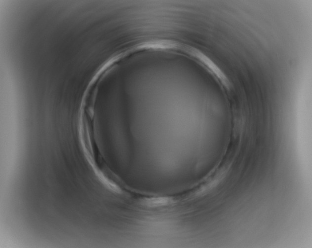 X0000114100853200910051443