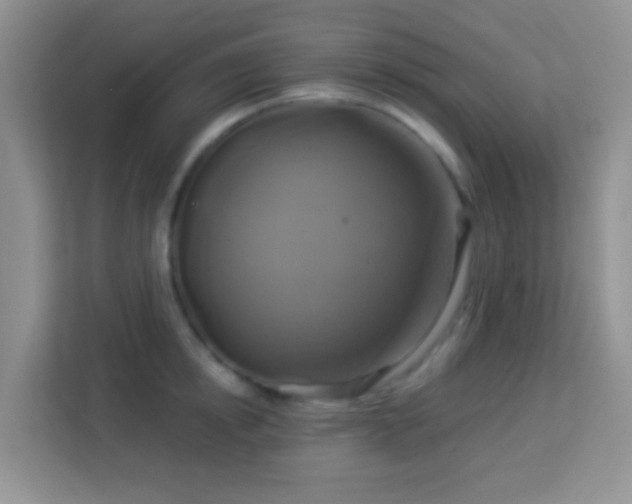 X0000114100854200910051443