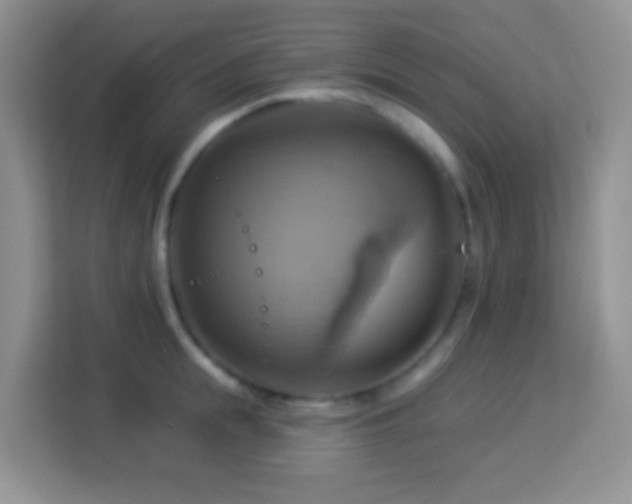 X0000114100855200910051443