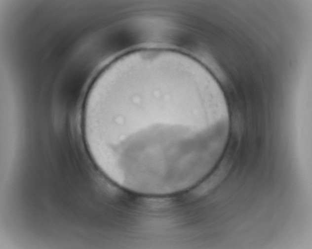 X0000114100856200910051444