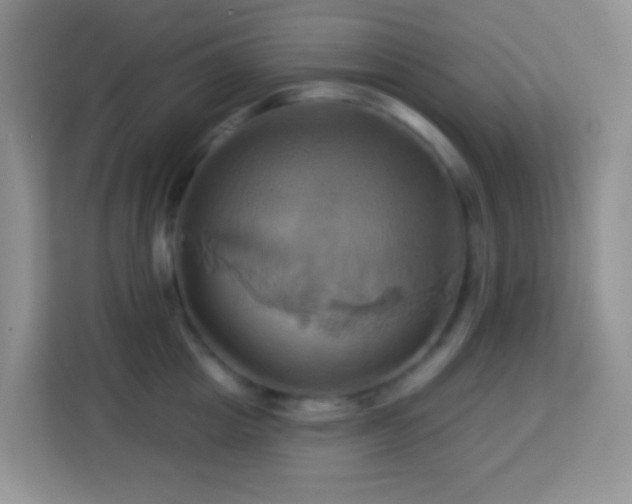 X0000114100857200910051444