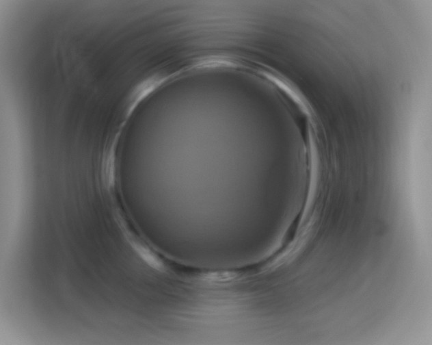 X0000114100858200910051444