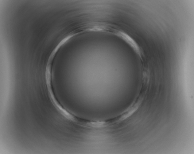 X0000114100859200910051444