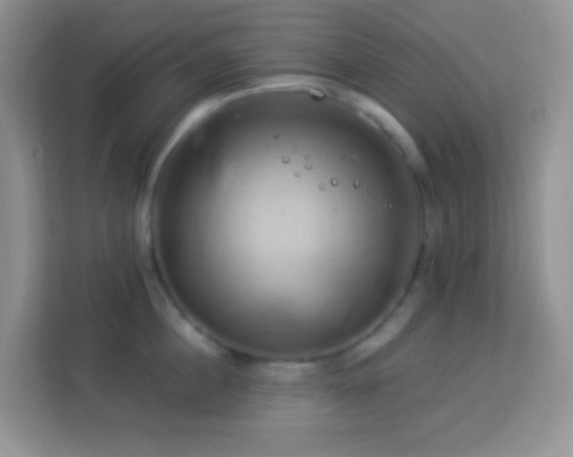 X0000114100860200910051444