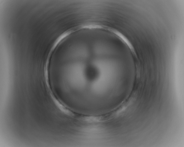 X0000114100861200910051444