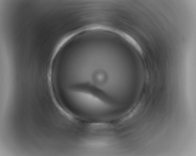 X0000114100863200910051444