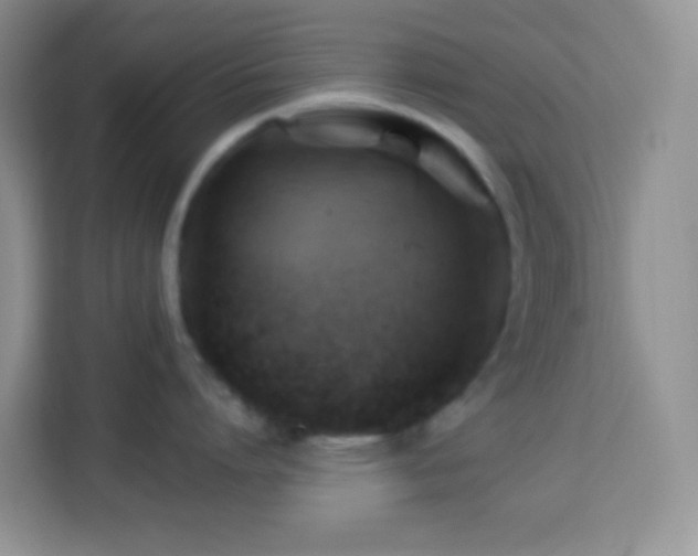 X0000114100864200910051444