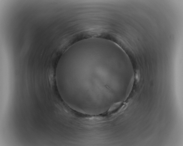 X0000114100867200910051443