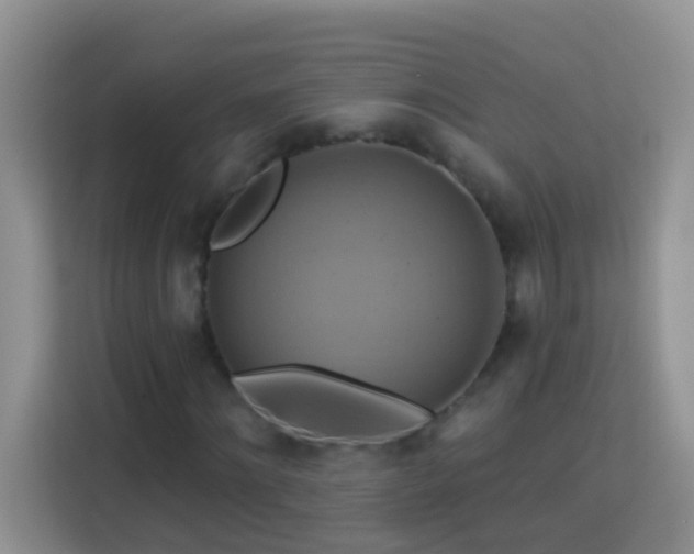 X0000114100868200910051443