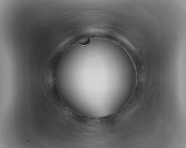 X0000114100869200910051443