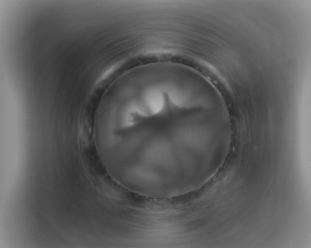 X0000114100871200910051443