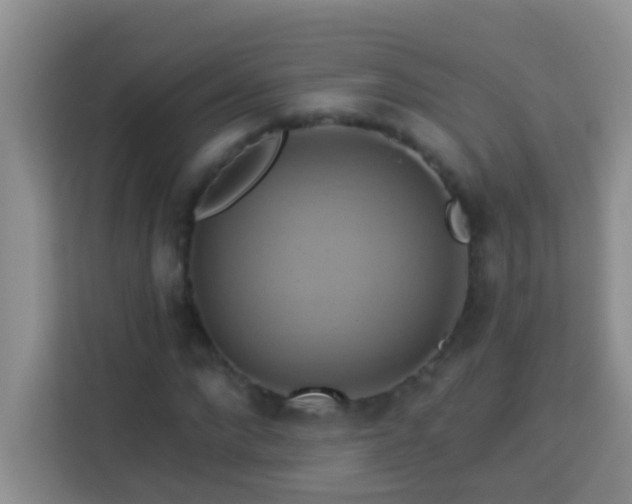 X0000114100872200910051443