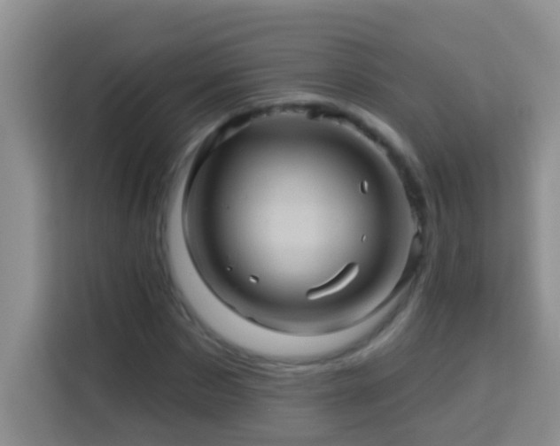 X0000114100873200910051443