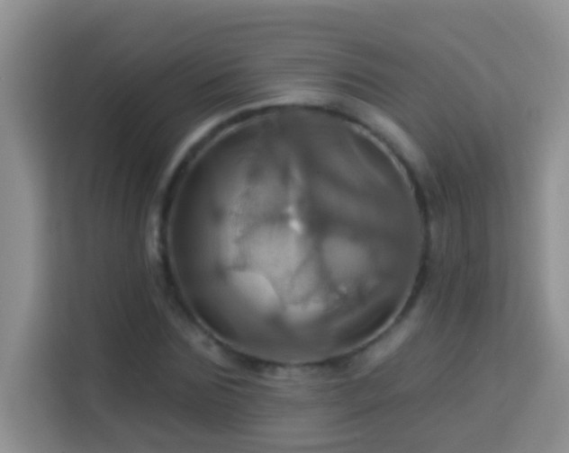 X0000114100875200910051443