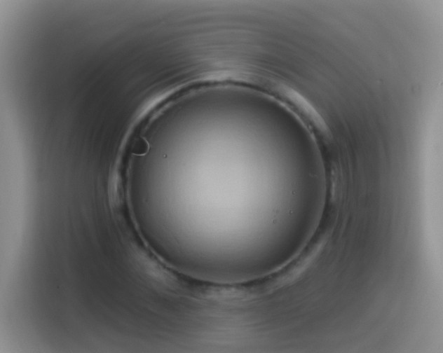 X0000114100876200910051443