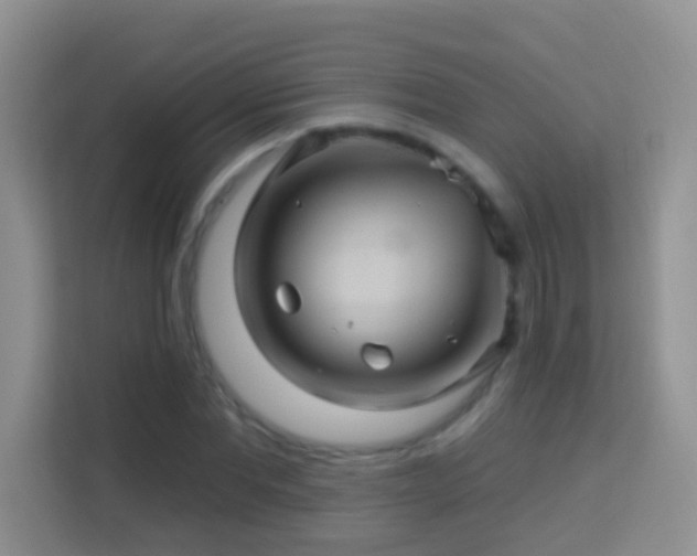 X0000114100877200910051443