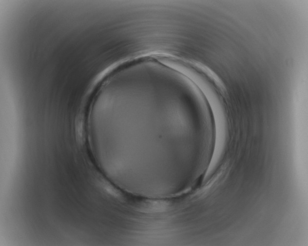 X0000114100878200910051443