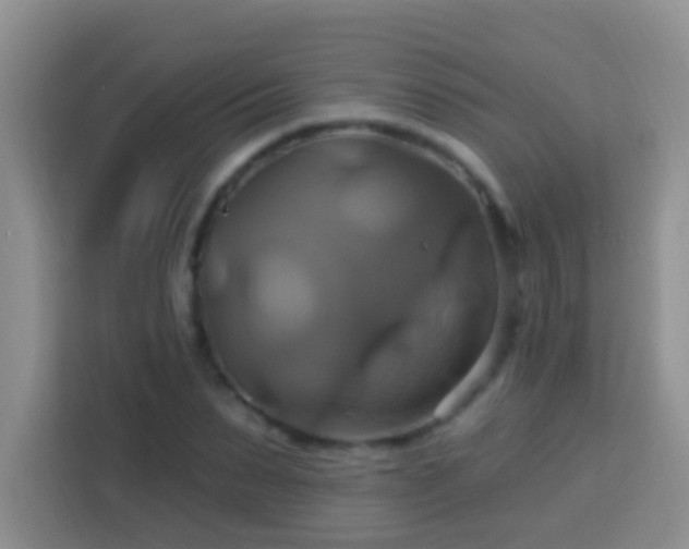 X0000114100879200910051443