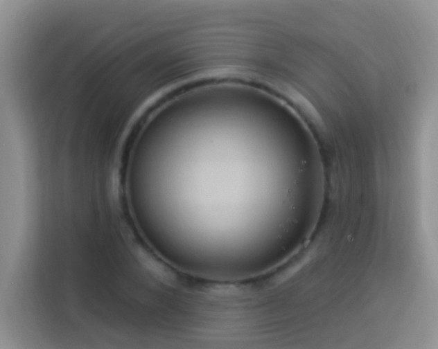 X0000114100880200910051443