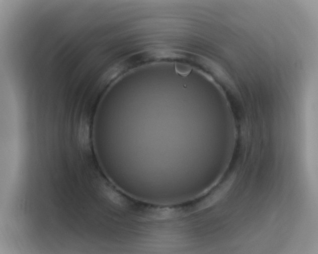 X0000114100881200910051443