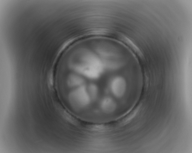 X0000114100883200910051443