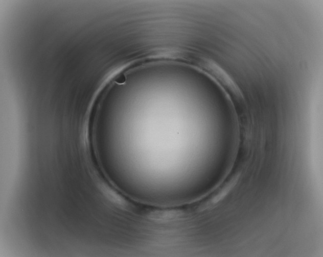 X0000114100884200910051443