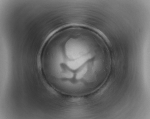 X0000114100887200910051443