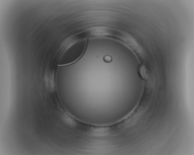 X0000114100889200910051443