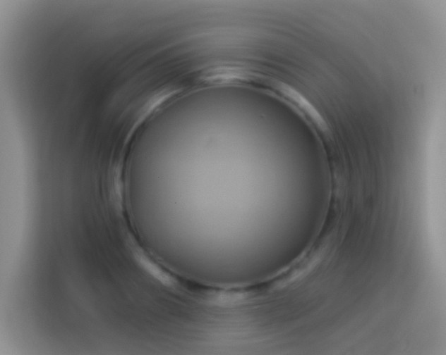 X0000114100890200910051443