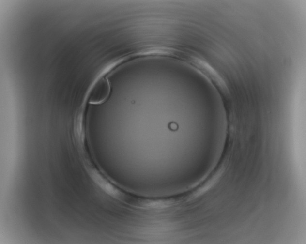 X0000114100892200910051443