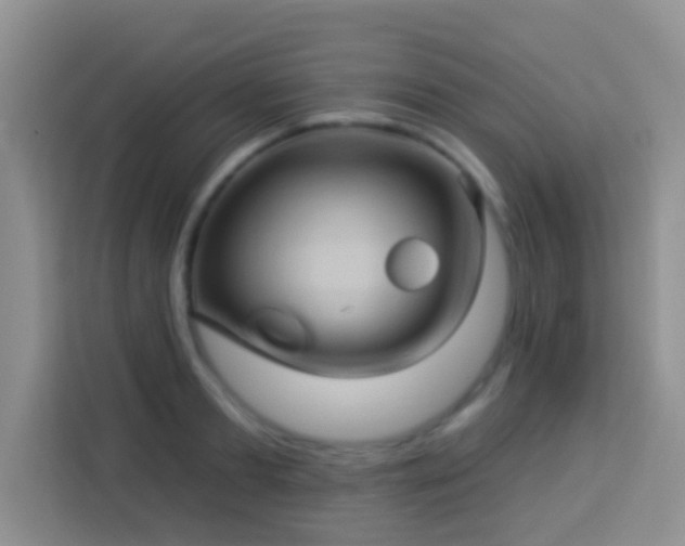 X0000114100893200910051443