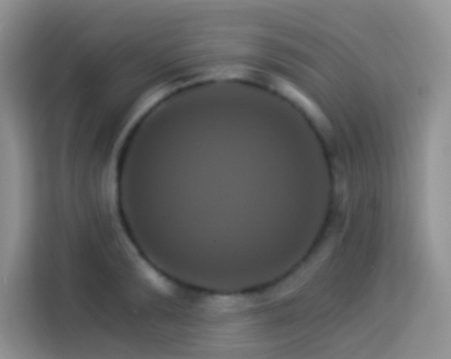 X0000114100894200910051443