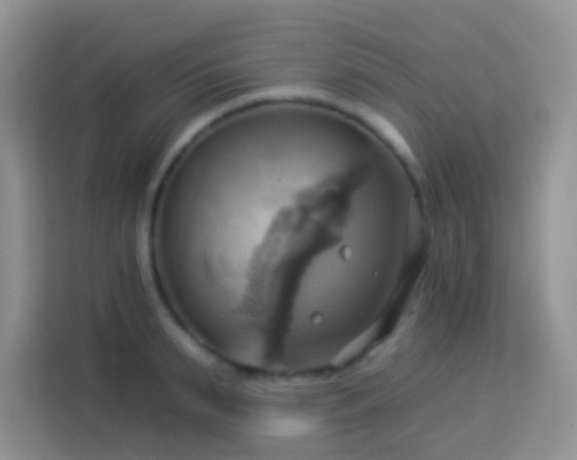 X0000114100895200910051443