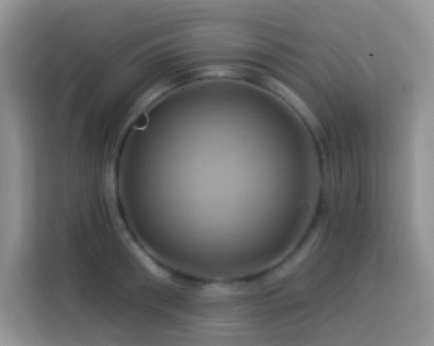 X0000114100898200910051443