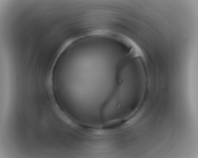 X0000114100899200910051443