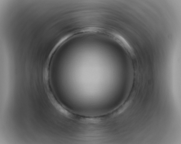 X0000114100900200910051443