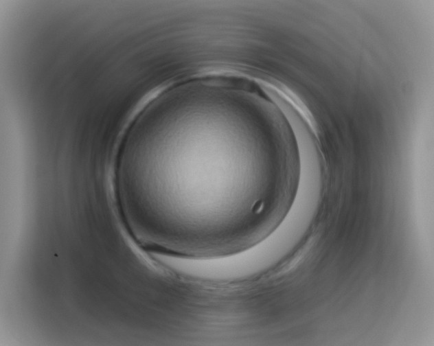 X0000114100901200910051443