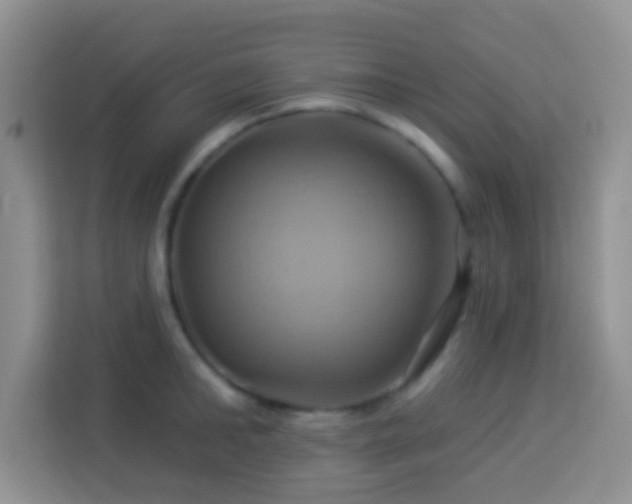 X0000114100902200910051443