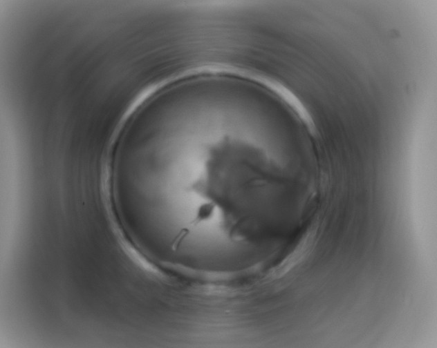 X0000114100903200910051443