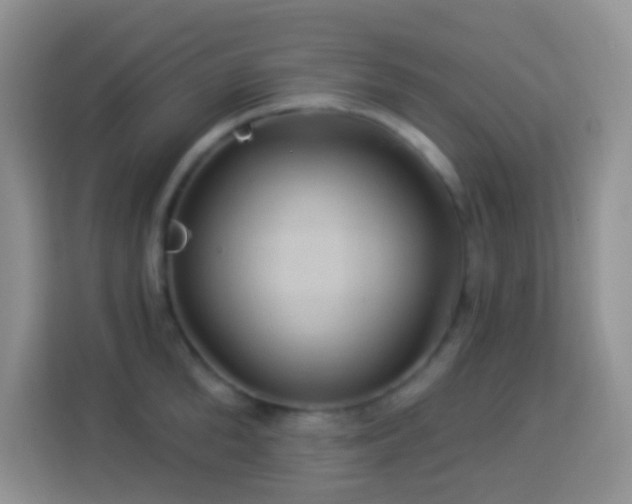 X0000114100904200910051442