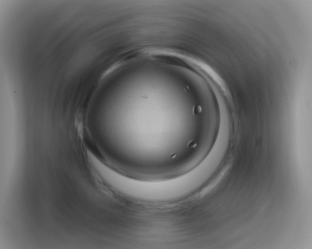 X0000114100905200910051442