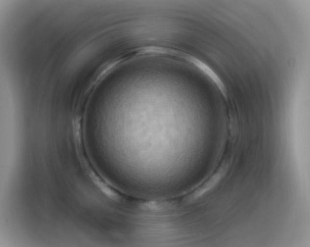 X0000114100906200910051442