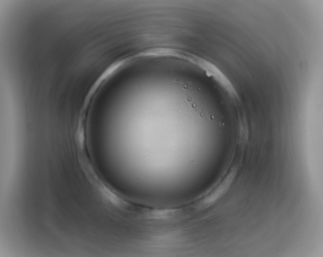 X0000114100908200910051442