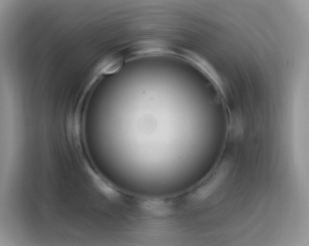 X0000114100909200910051442