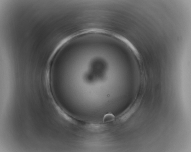 X0000114100910200910051442