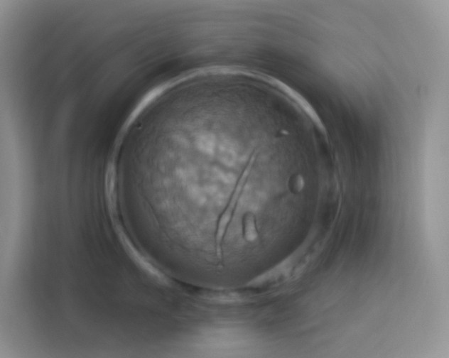 X0000114100911200910051442