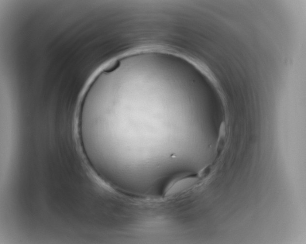 X0000114100912200910051442